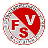 FSV 1919 Malchin